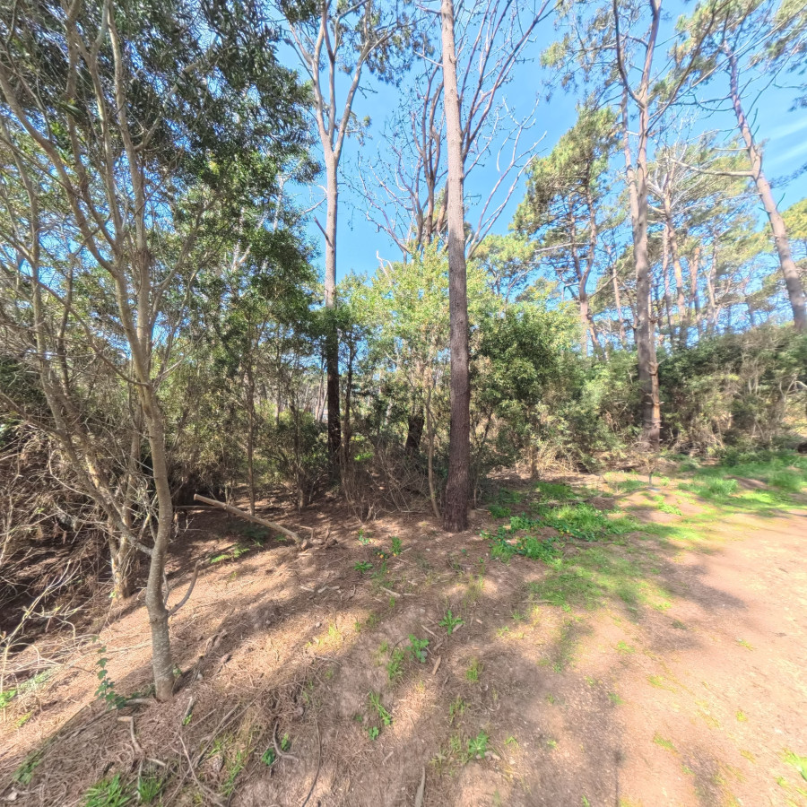 Terreno ID.1725 - Terreno Reserva Montoya 