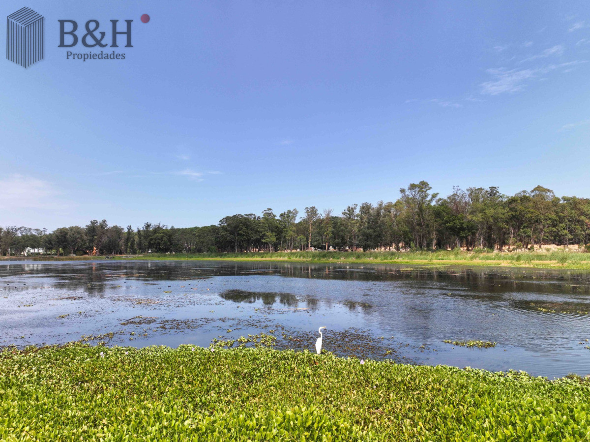 Montoya - GoPunta - Portal Inmobiliario de Punta del Este - Maldonado