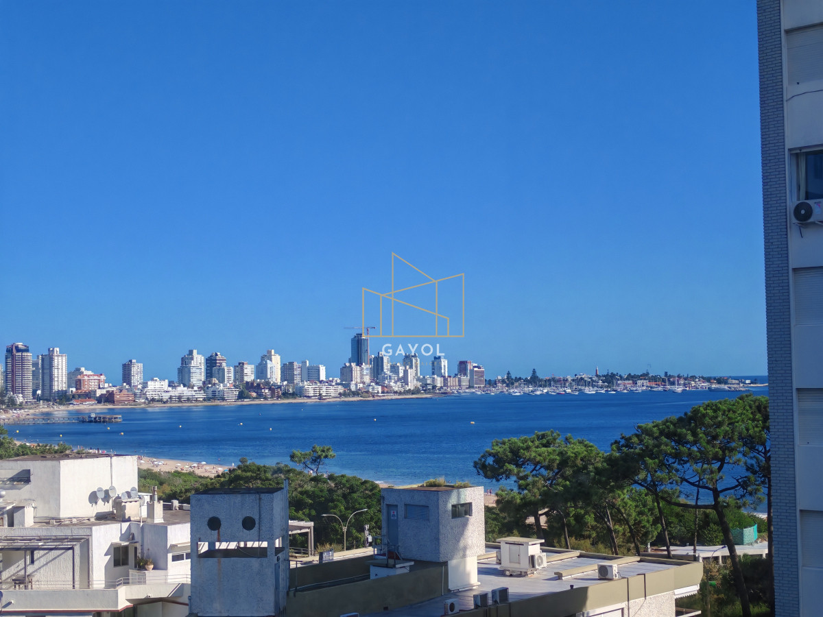 Apartamento ID.641 - Palm Beach en alquiler invernal o anual de 1 dormitorio y medio 