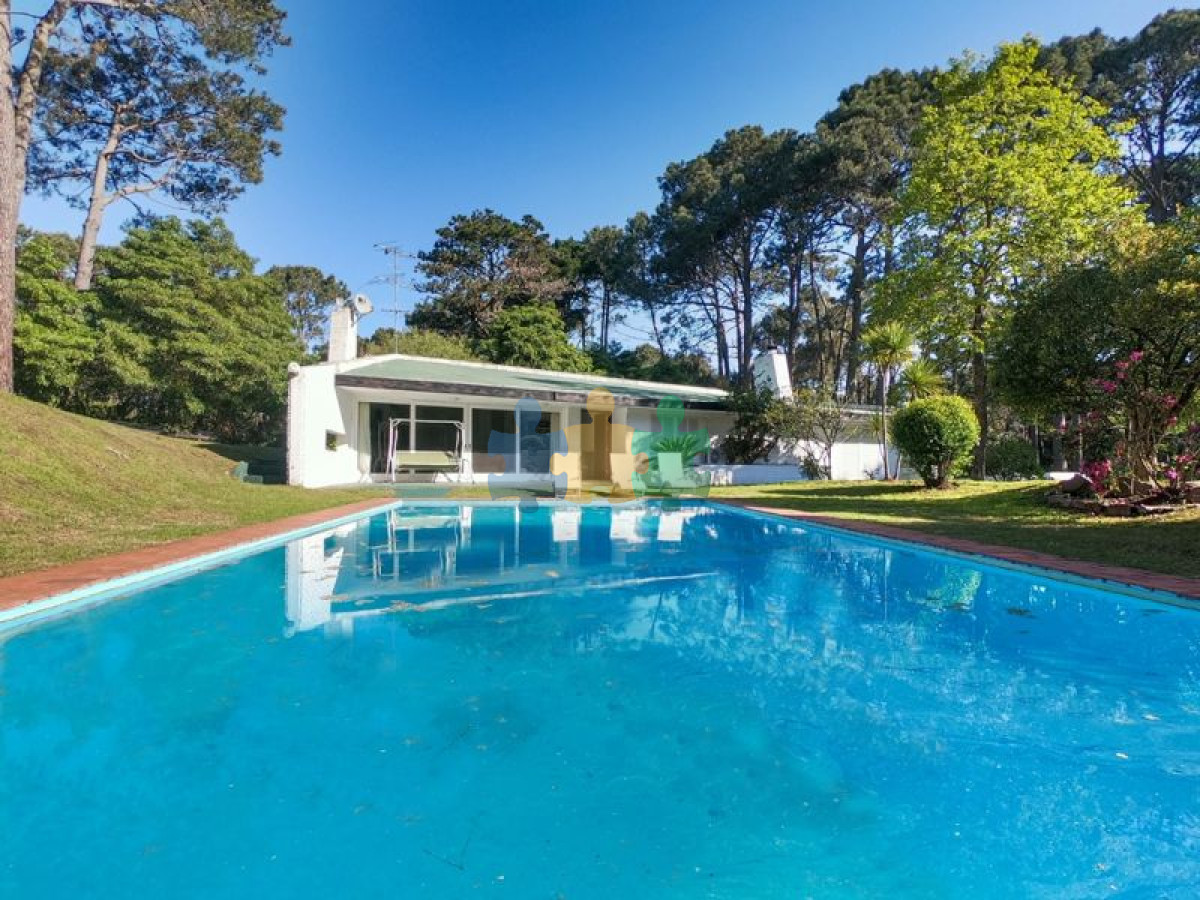 Portezuelo Bosque - GoPunta - Portal Inmobiliario de Punta del Este - Maldonado