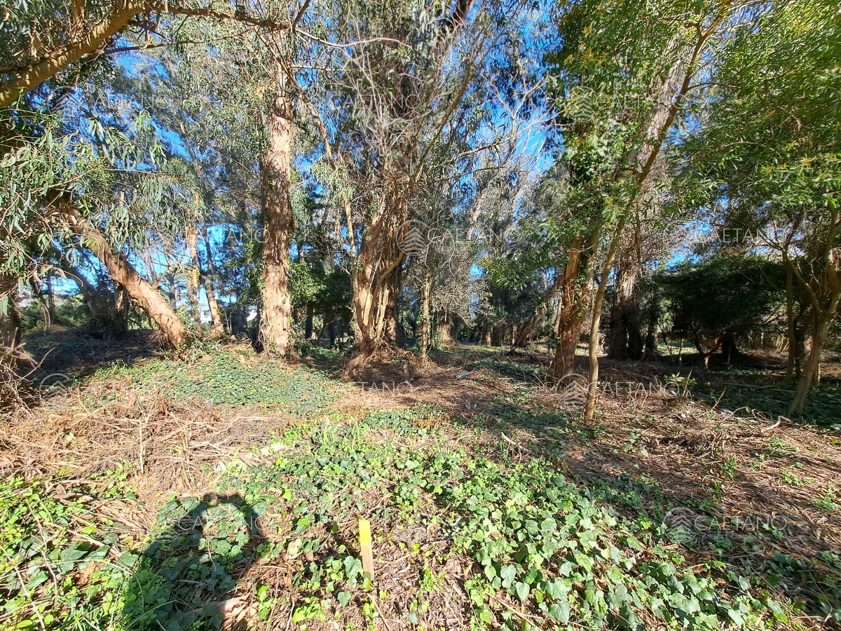 Terreno ID.994 - Vendo Terreno de 621 m en el Golf