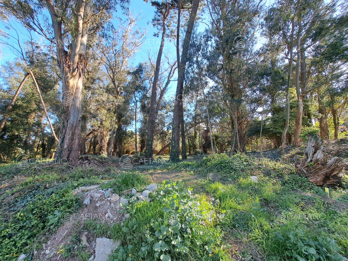 Golf - GoPunta - Portal Inmobiliario de Punta del Este - Maldonado