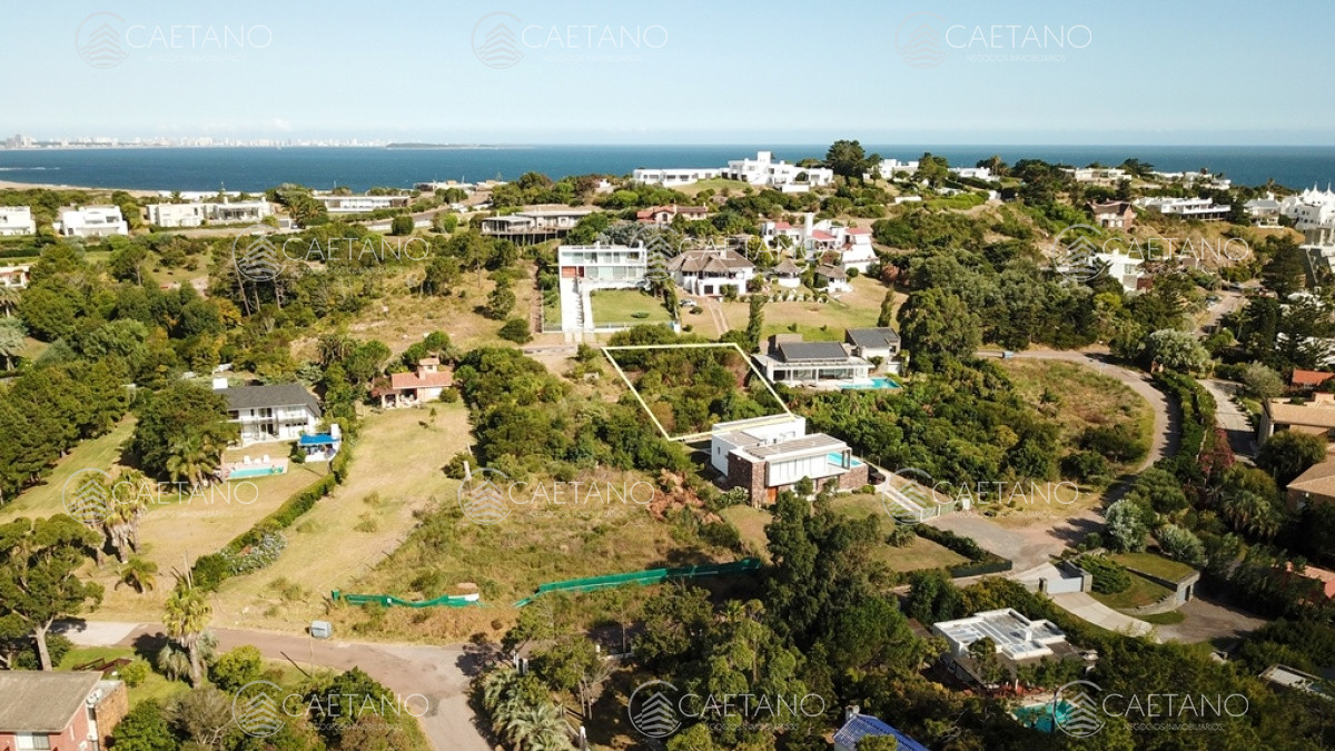 Lomo de la Ballena - GoPunta - Portal Inmobiliario de Punta del Este - Maldonado