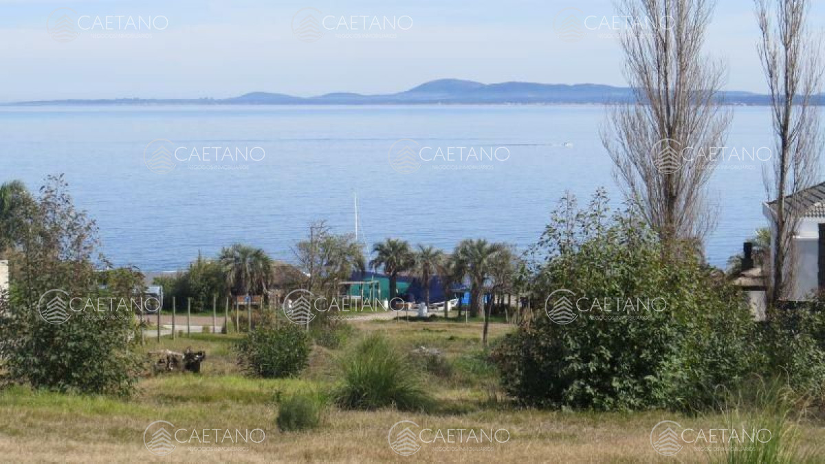 Lomo de la Ballena - GoPunta - Portal Inmobiliario de Punta del Este - Maldonado
