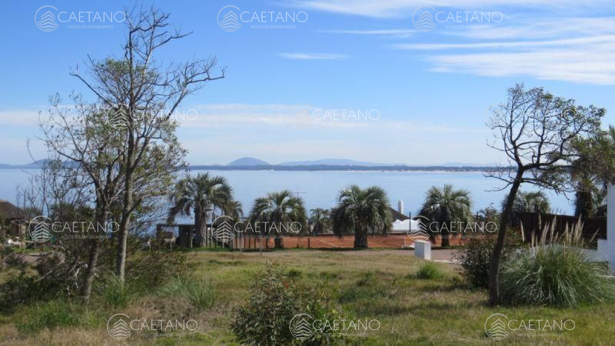 Lomo de la Ballena - GoPunta - Portal Inmobiliario de Punta del Este - Maldonado