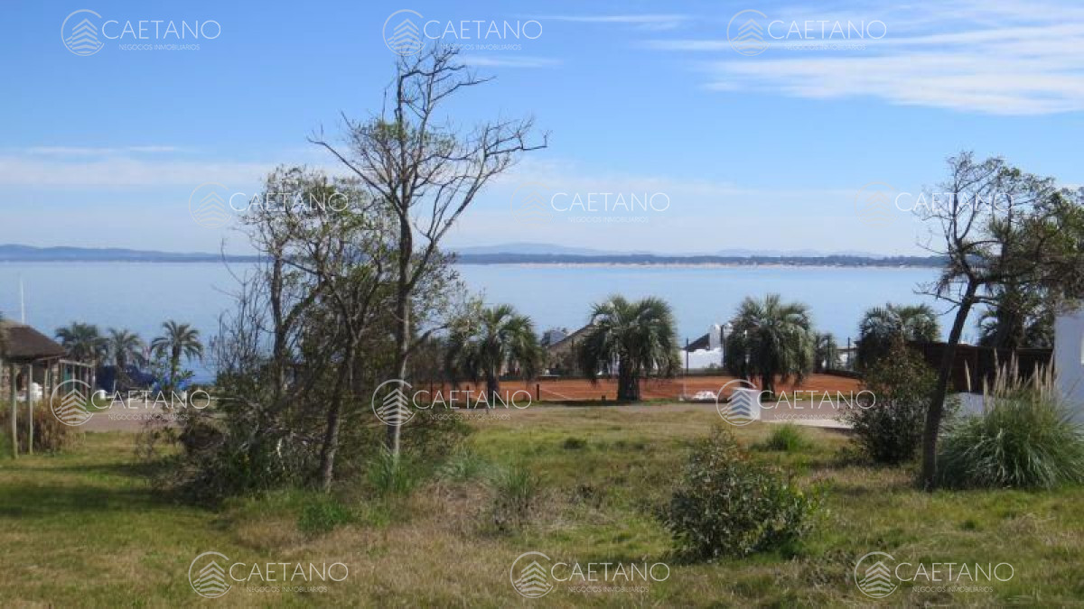 Lomo de la Ballena - GoPunta - Portal Inmobiliario de Punta del Este - Maldonado