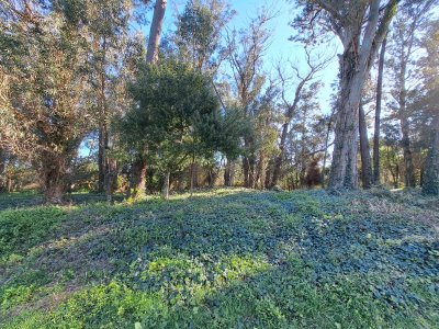 Venta de lote 844 M2 Rincón del Indio 