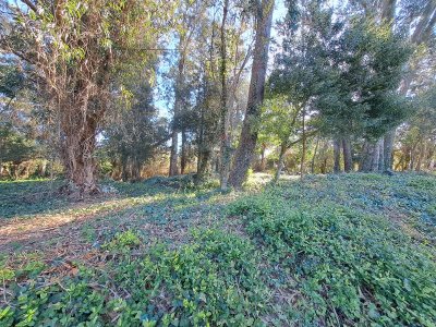 Venta del Lote 828 M2 en Playa Brava 