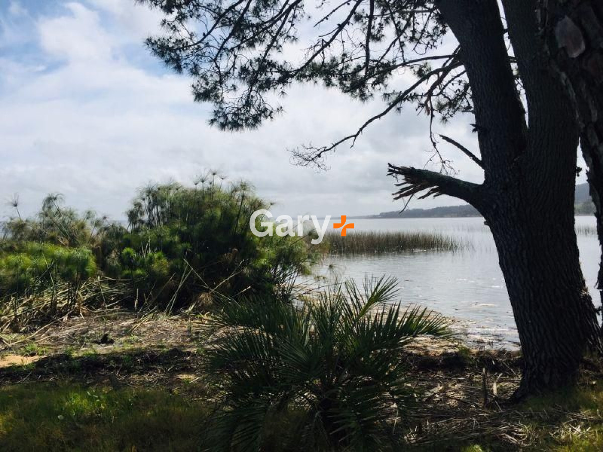 Laguna del Sauce - GoPunta - Portal Inmobiliario de Punta del Este - Maldonado