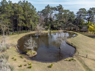 chacra en venta laguna del sauce 6 dormitorios - ndm5570h