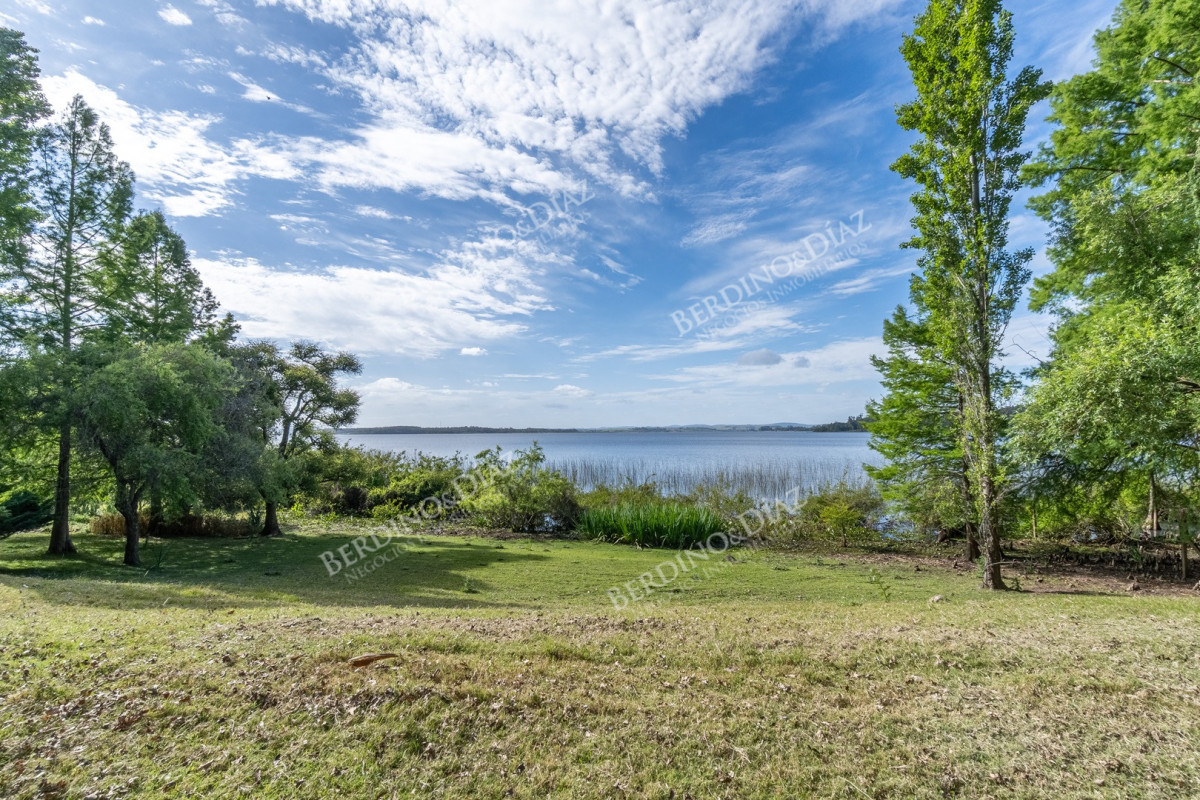 Chacra ID.2907 - Chacra sobre la Laguna del Sauce, en Punta Ballena