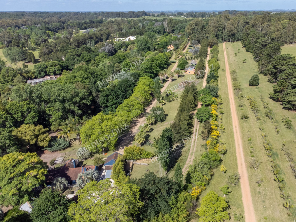 Chacra ID.2907 - Chacra sobre la Laguna del Sauce, en Punta Ballena