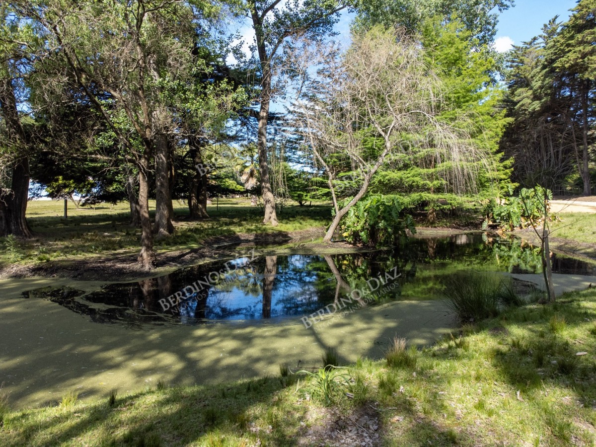 Chacra ID.2907 - Chacra sobre la Laguna del Sauce, en Punta Ballena