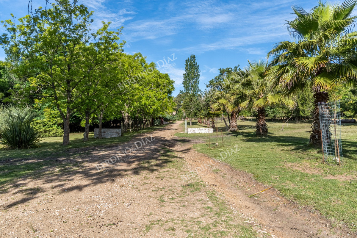 Chacra ID.2907 - Chacra sobre la Laguna del Sauce, en Punta Ballena