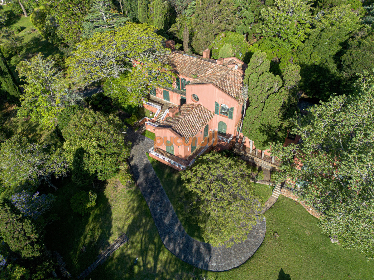 Casa ID.2501 - Casa en venta Punta Ballena 6 dormitorios