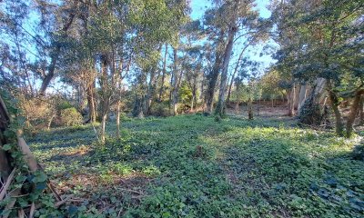 Venta terreno en El Golf, Playa Brava, Punta del Este