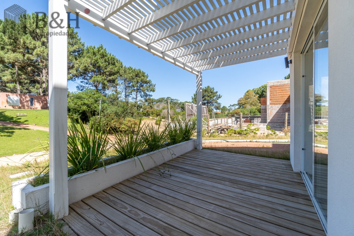 Chihuahua - GoPunta - Portal Inmobiliario de Punta del Este - Maldonado