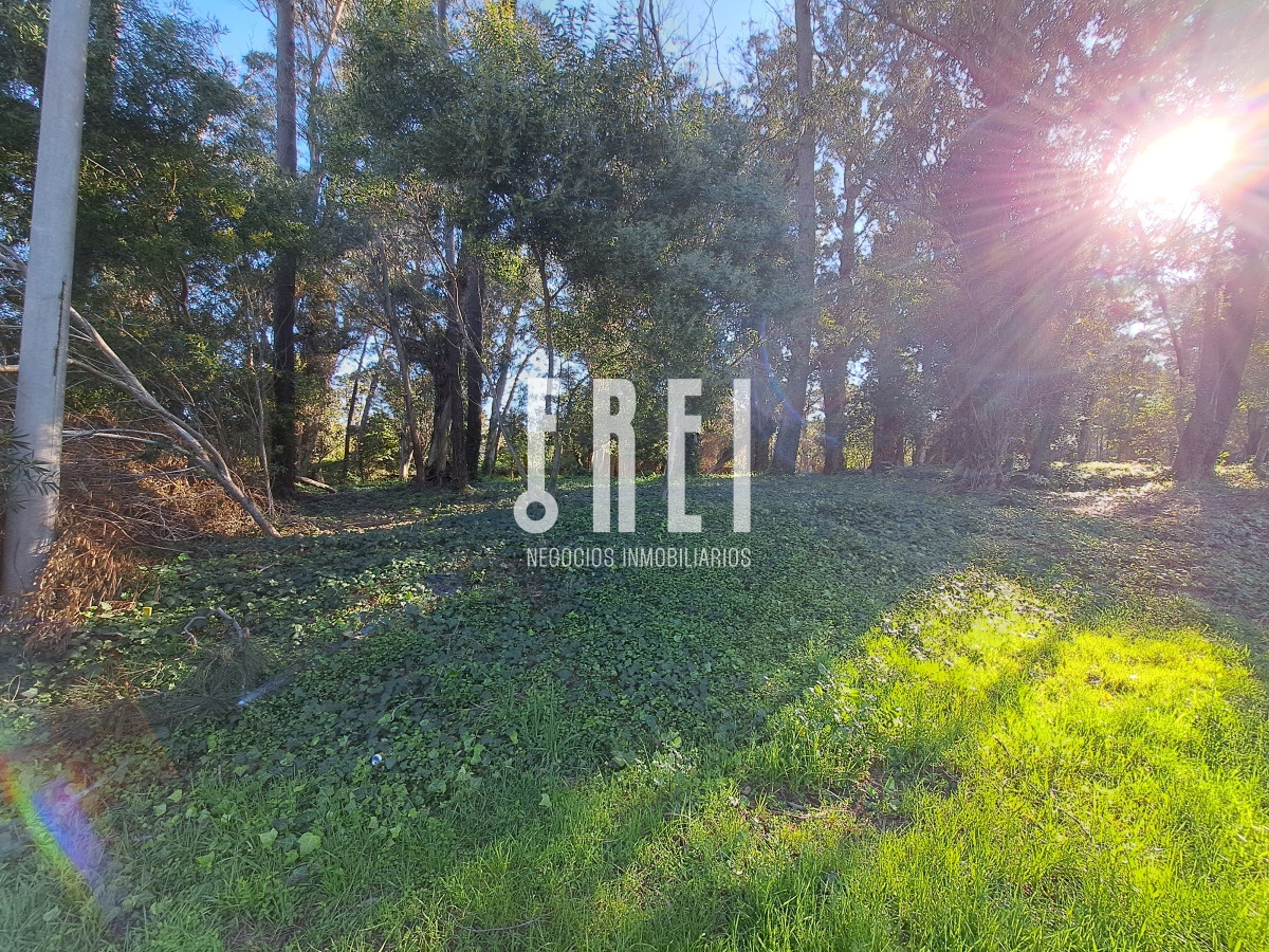 Terreno ID.140 - ¡Oportunidad! Lote en El Golf, Playa Brava