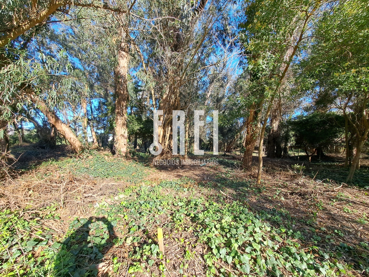 Terreno ID.137 - ¡Excelente oportunidad de inversión! El Golf, Punta del Este.