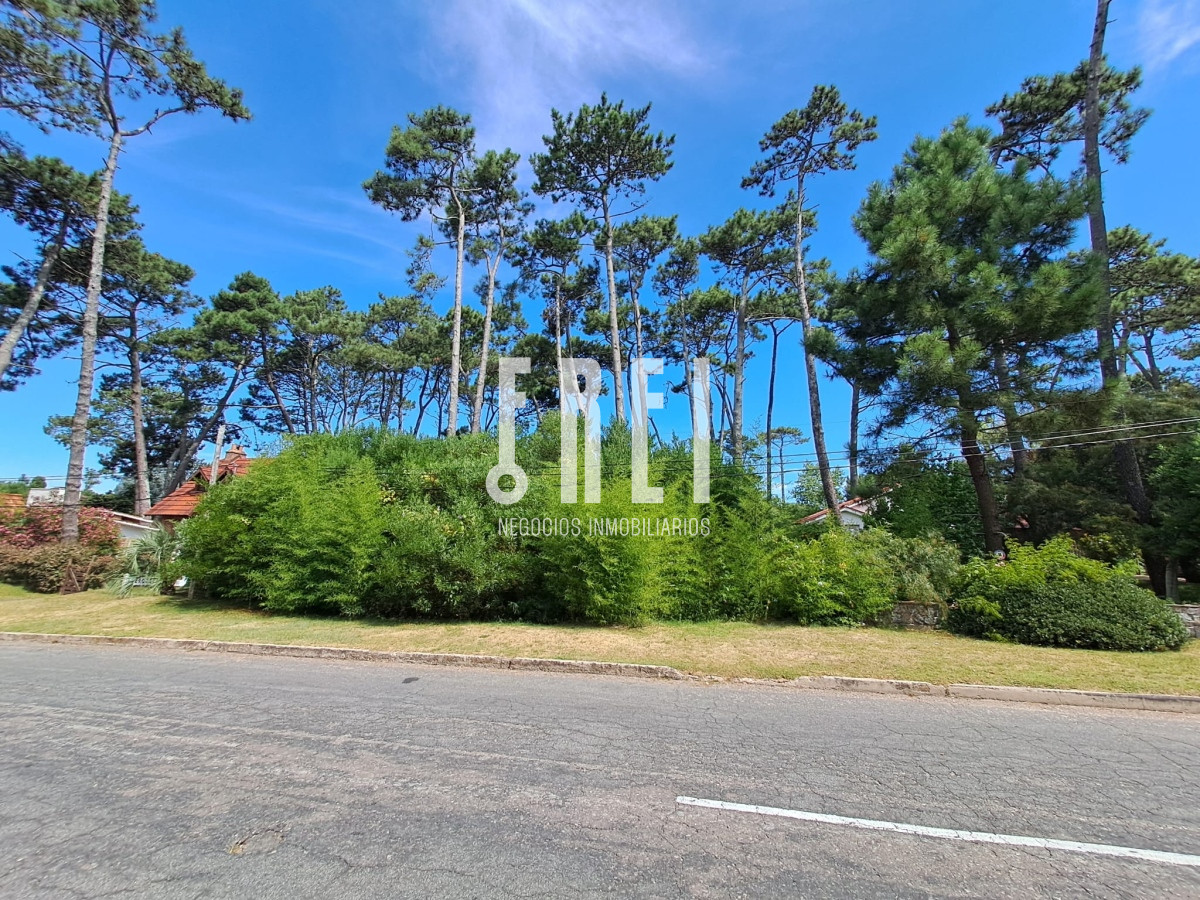 Terreno ID.132 - Venta de lote, avenida Laureano Alonso Pérez 