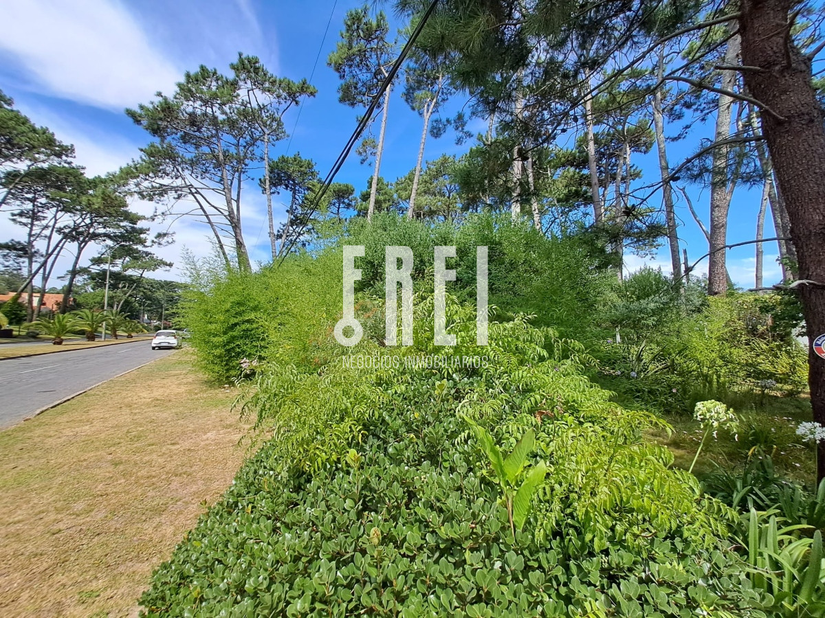 Terreno ID.132 - Venta de lote, avenida Laureano Alonso Pérez 