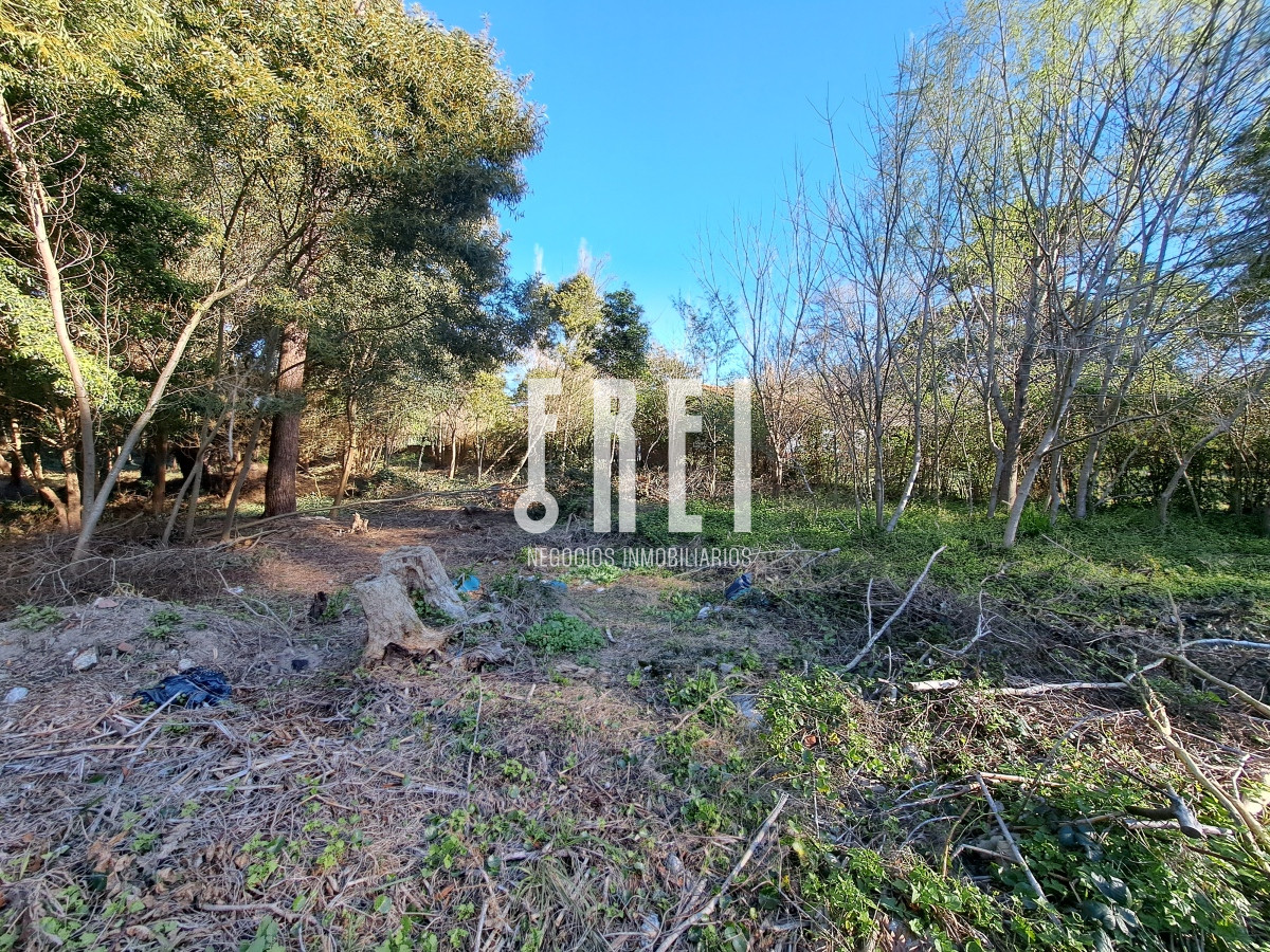 Terreno ID.136 - ¡Excelente oportunidad de inversión! El Golf, Punta del Este