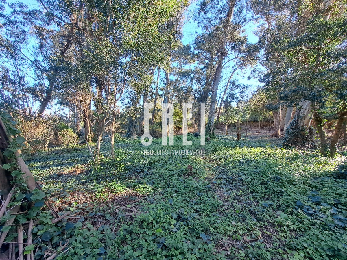 Terreno ID.140 - ¡Oportunidad! Lote en El Golf, Playa Brava