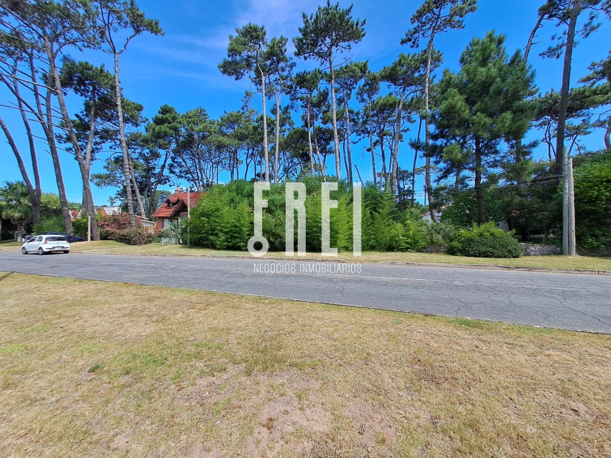 Terreno ID.132 - Venta de lote, avenida Laureano Alonso Pérez 