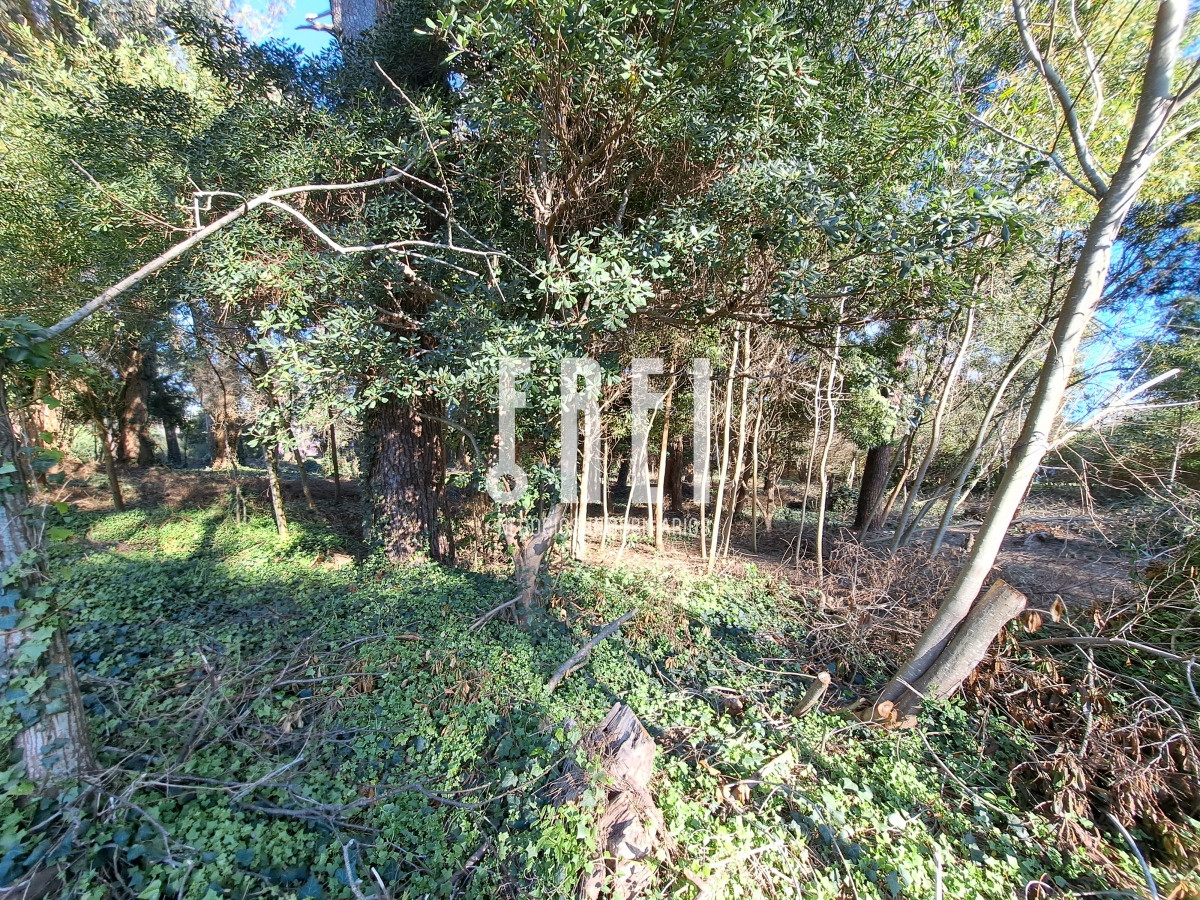 Terreno ID.136 - ¡Excelente oportunidad de inversión! El Golf, Punta del Este