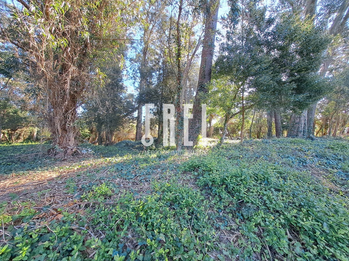 Terreno ID.138 - ¡Excelente oportunidad de inversión! El Golf, Punta del Este.