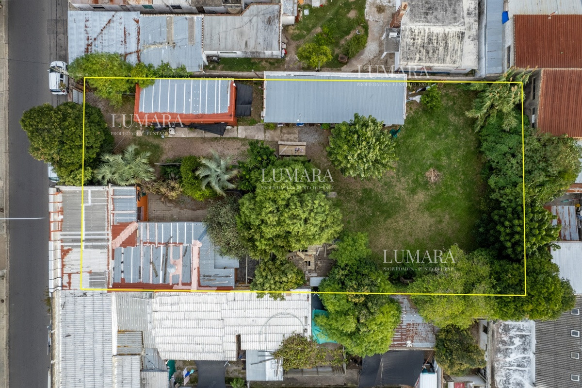 Terreno ID.2992 - Venta de Lote en Centro, Maldonado