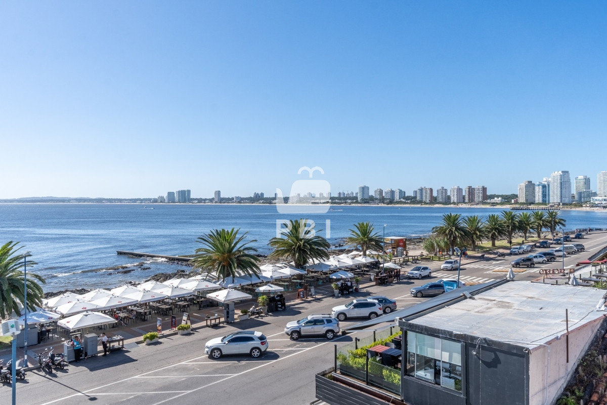 Puerto - GoPunta - Portal Inmobiliario de Punta del Este - Maldonado