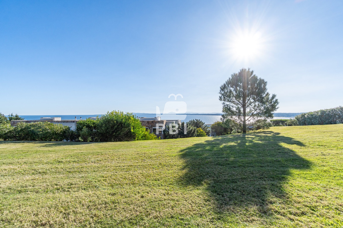 Lomo de la Ballena - GoPunta - Portal Inmobiliario de Punta del Este - Maldonado