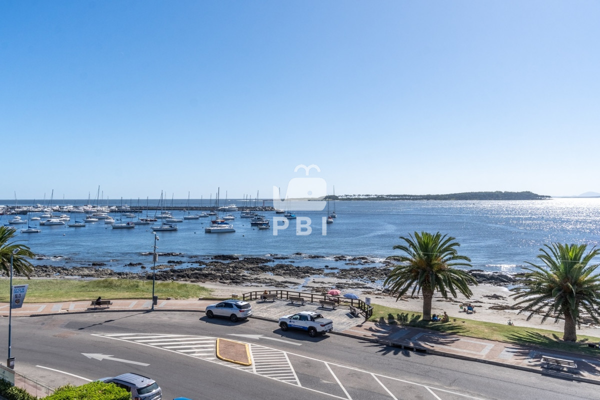 Puerto - GoPunta - Portal Inmobiliario de Punta del Este - Maldonado