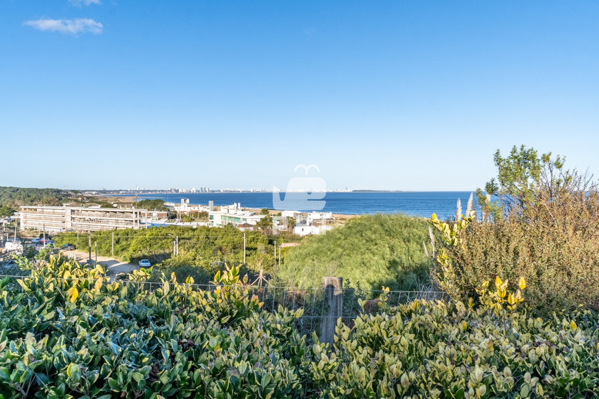 Lomo de la Ballena - GoPunta - Portal Inmobiliario de Punta del Este - Maldonado