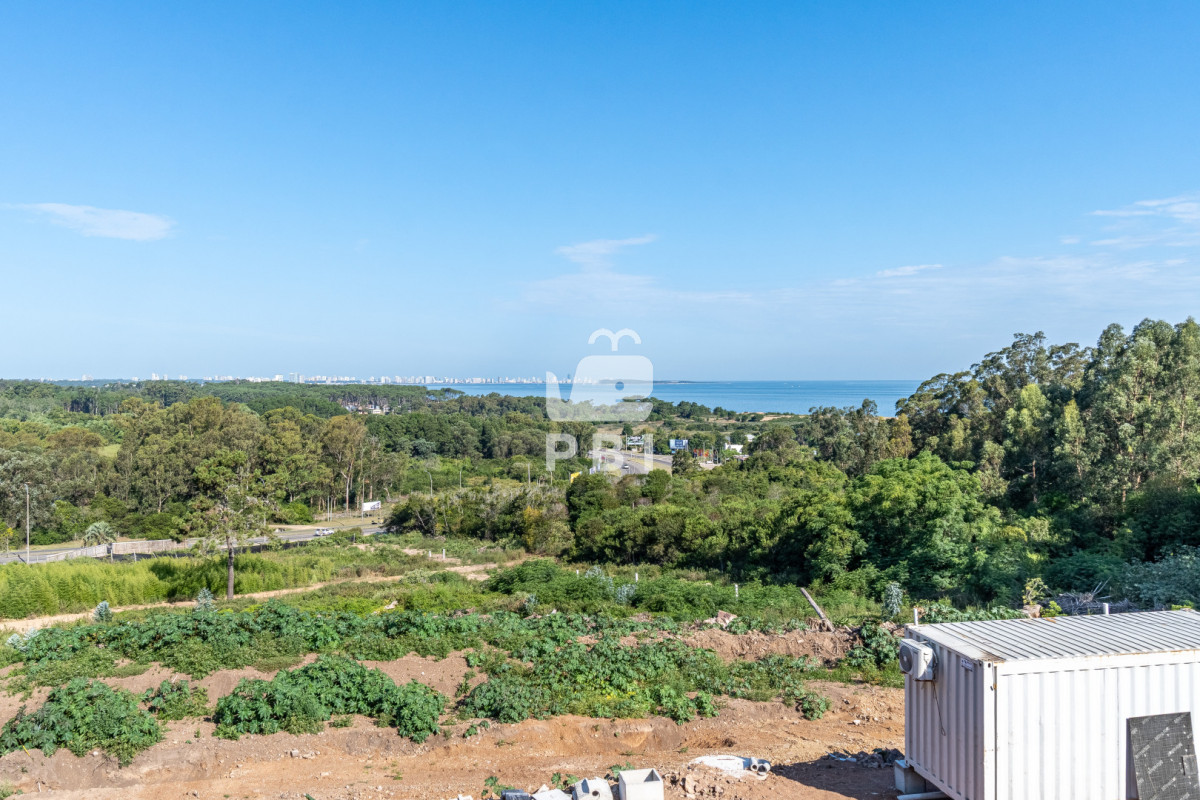 QXBhcnRhbWVudG8gZGUgMSBkb3JtaXRvcmlvIGVuIEJhbGVpYSwgTG9tbyBkZSBsYSBCYWxsZW5hLCBQdW50YSBCYWxsZW5hIC0gQmFsZWlhIC0gUmVmIDogUEJJMTQxNjI=