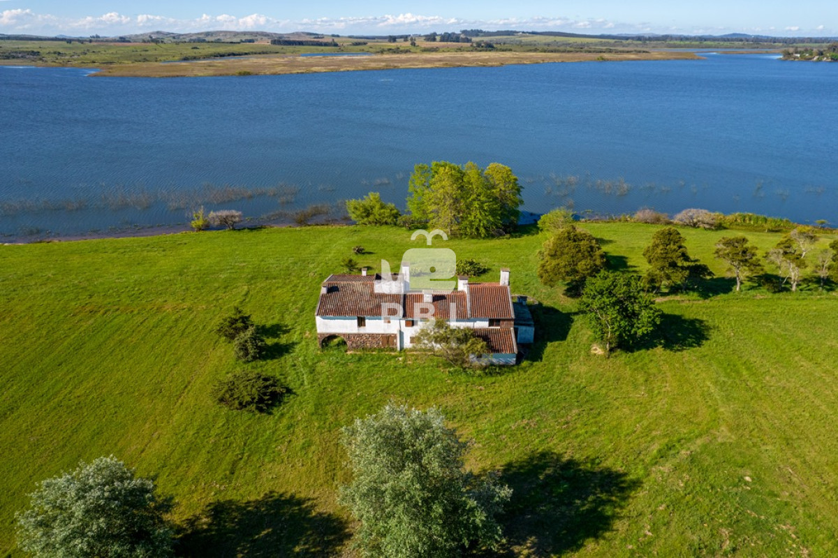 Laguna de los Cisnes - GoPunta - Portal Inmobiliario de Punta del Este - Maldonado