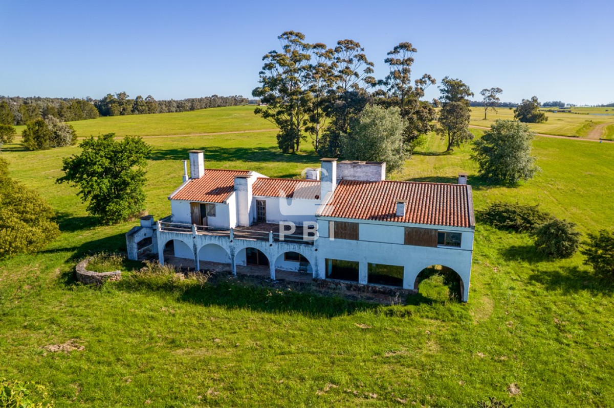 Laguna de los Cisnes - GoPunta - Portal Inmobiliario de Punta del Este - Maldonado