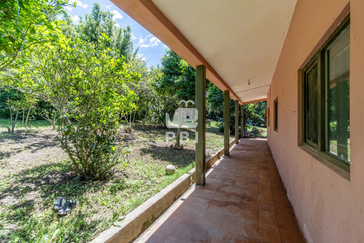Punta Ballena - GoPunta - Portal Inmobiliario de Punta del Este - Maldonado