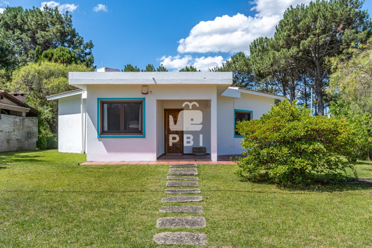 Tio Tom - GoPunta - Portal Inmobiliario de Punta del Este - Maldonado