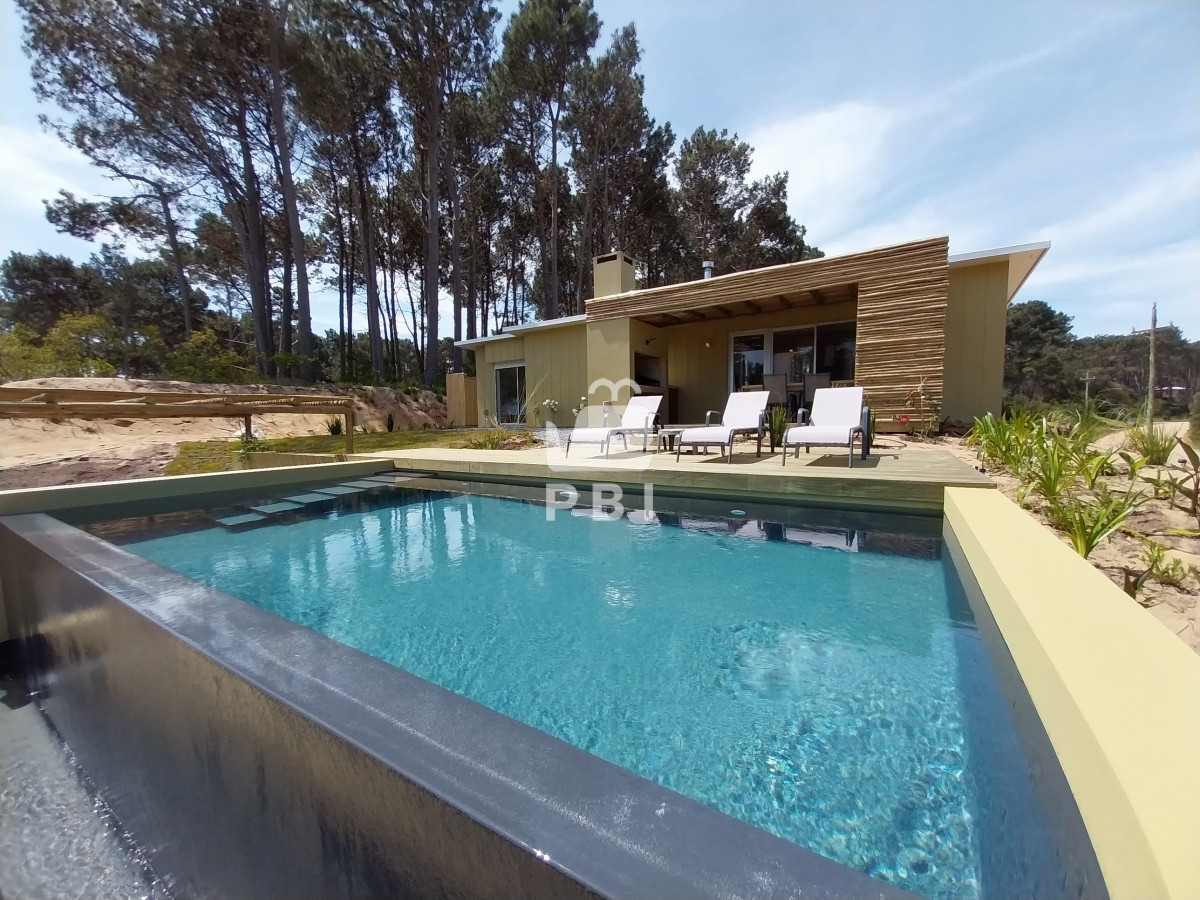 Chihuahua - GoPunta - Portal Inmobiliario de Punta del Este - Maldonado