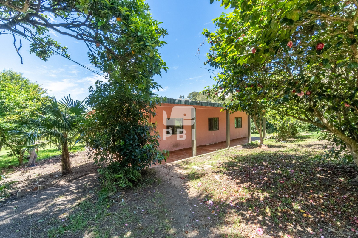 Punta Ballena - GoPunta - Portal Inmobiliario de Punta del Este - Maldonado