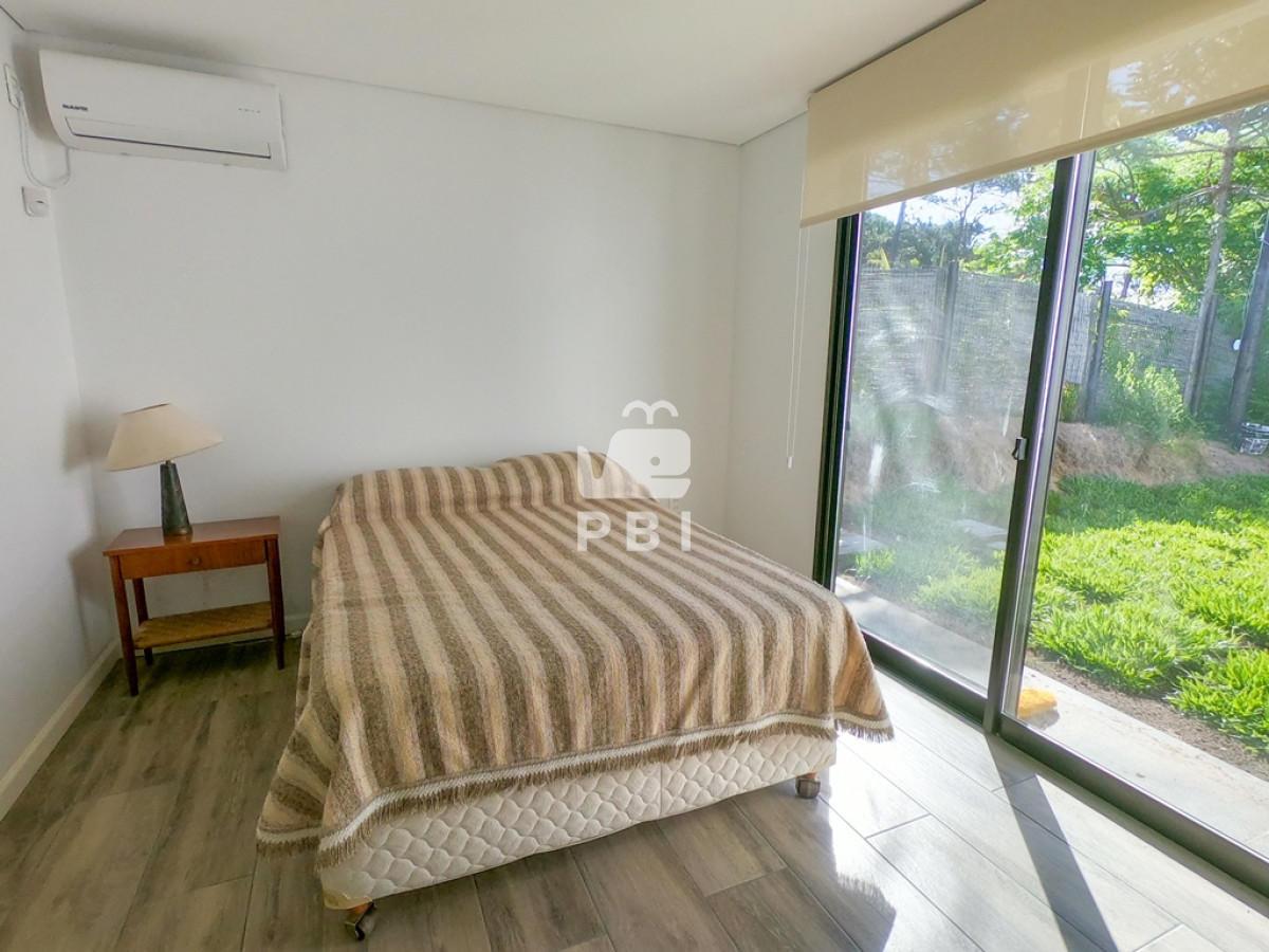 Chihuahua - GoPunta - Portal Inmobiliario de Punta del Este - Maldonado