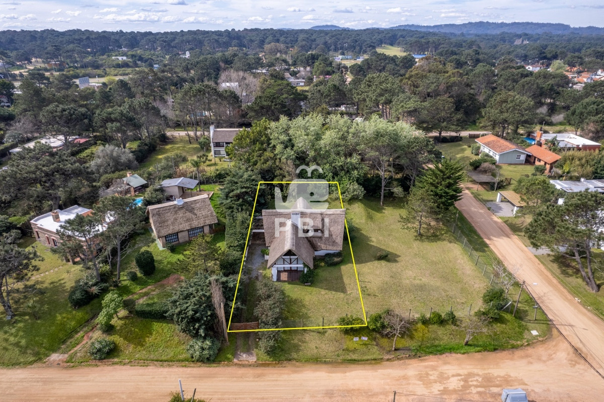 Tio Tom - GoPunta - Portal Inmobiliario de Punta del Este - Maldonado