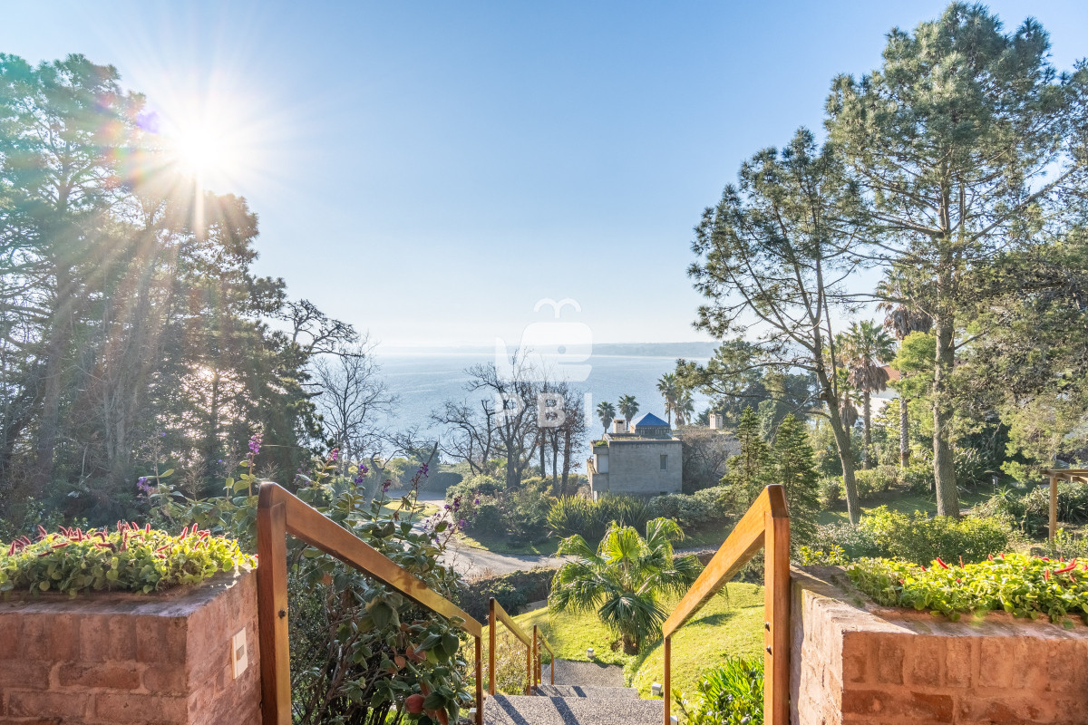 Lomo de la Ballena - GoPunta - Portal Inmobiliario de Punta del Este - Maldonado