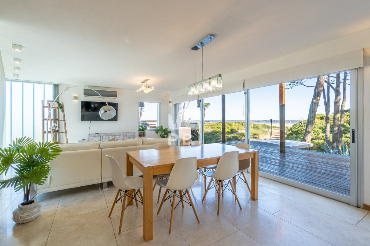 Chihuahua - GoPunta - Portal Inmobiliario de Punta del Este - Maldonado