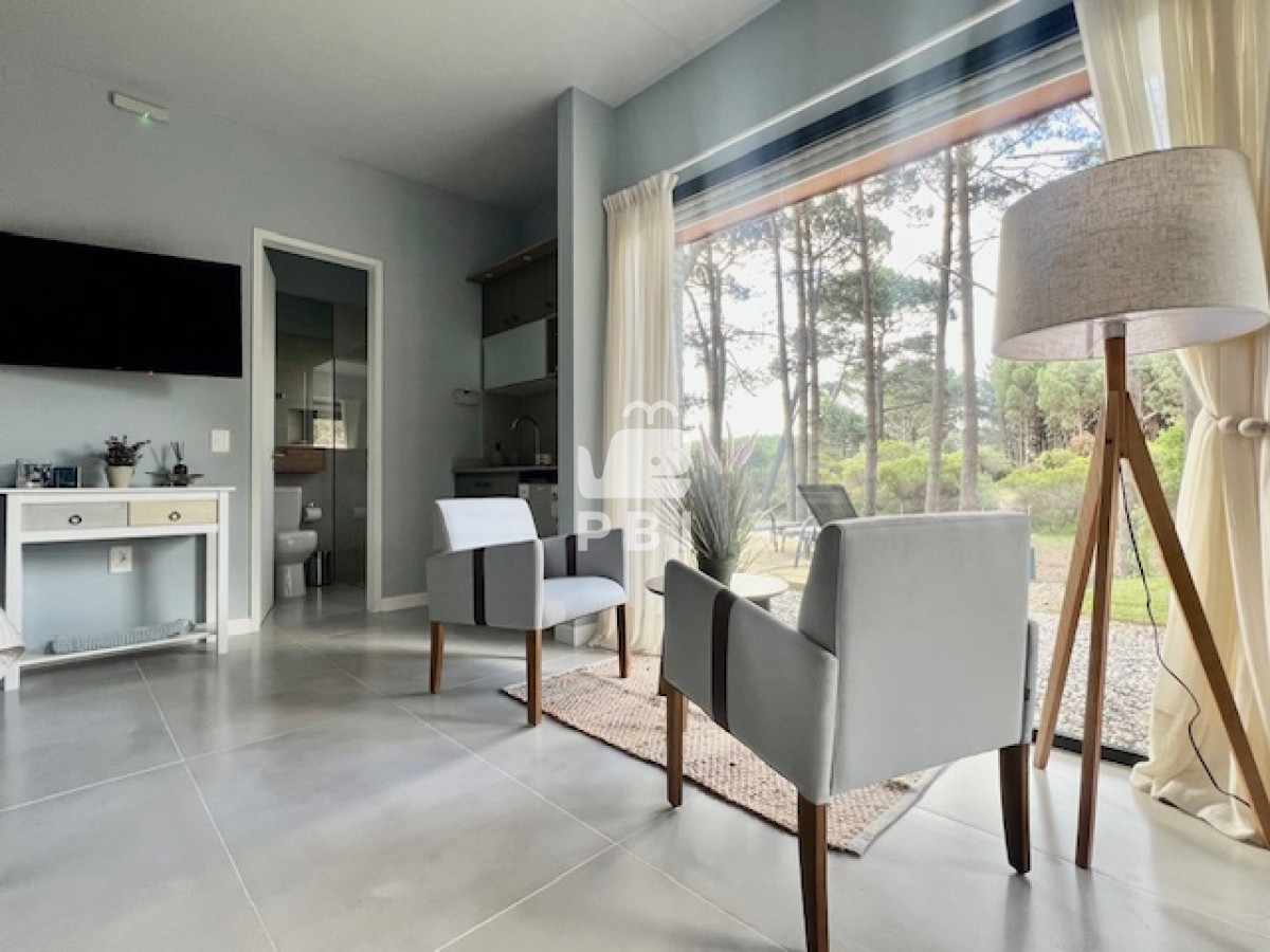 Chihuahua - GoPunta - Portal Inmobiliario de Punta del Este - Maldonado