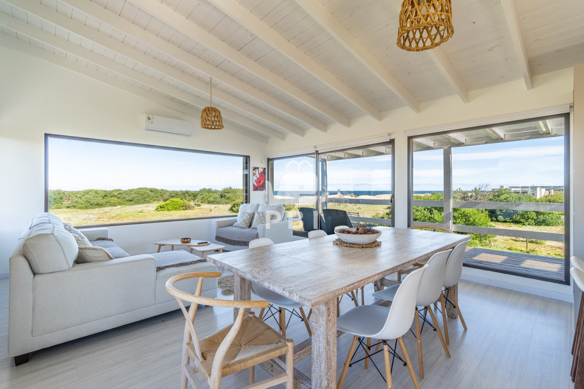 Chihuahua - GoPunta - Portal Inmobiliario de Punta del Este - Maldonado