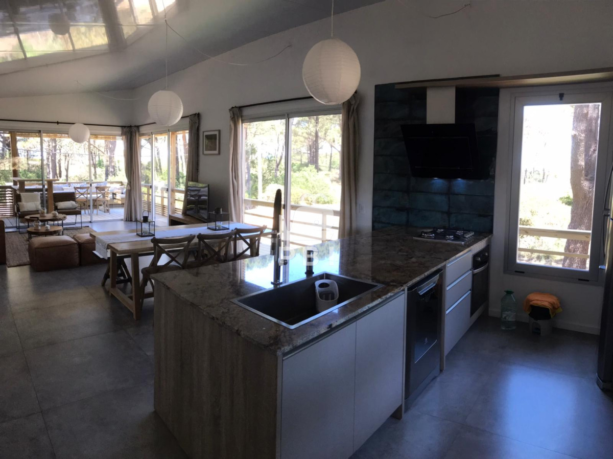 Chihuahua - GoPunta - Portal Inmobiliario de Punta del Este - Maldonado