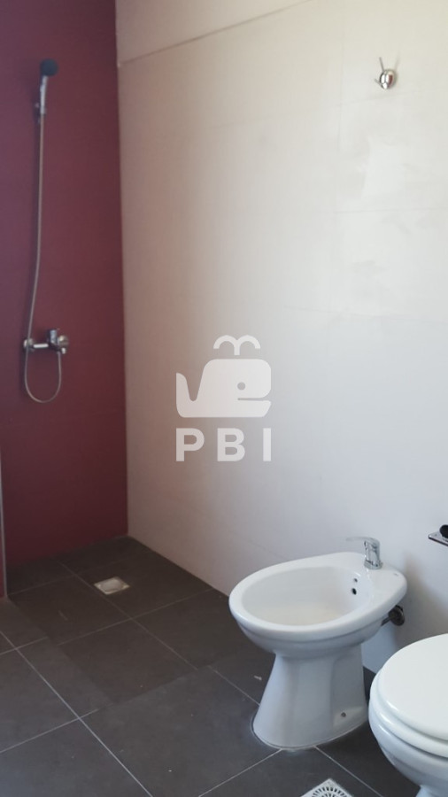 Chihuahua - GoPunta - Portal Inmobiliario de Punta del Este - Maldonado